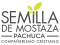 Semilla de Mostaza Pachuca